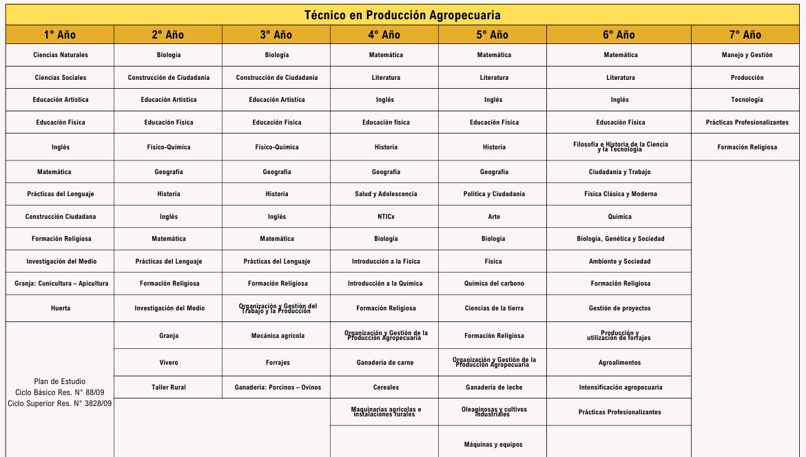 Plan de Estudio 1