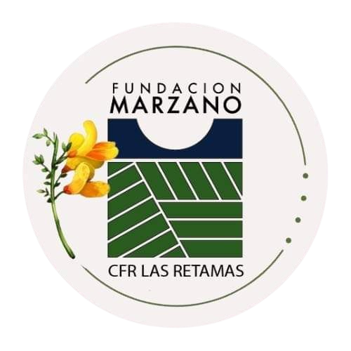 logo fundación 